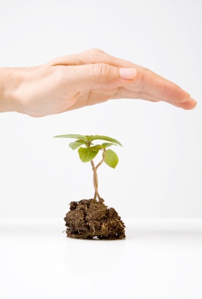 Our Love Affair with Results Reconsidered